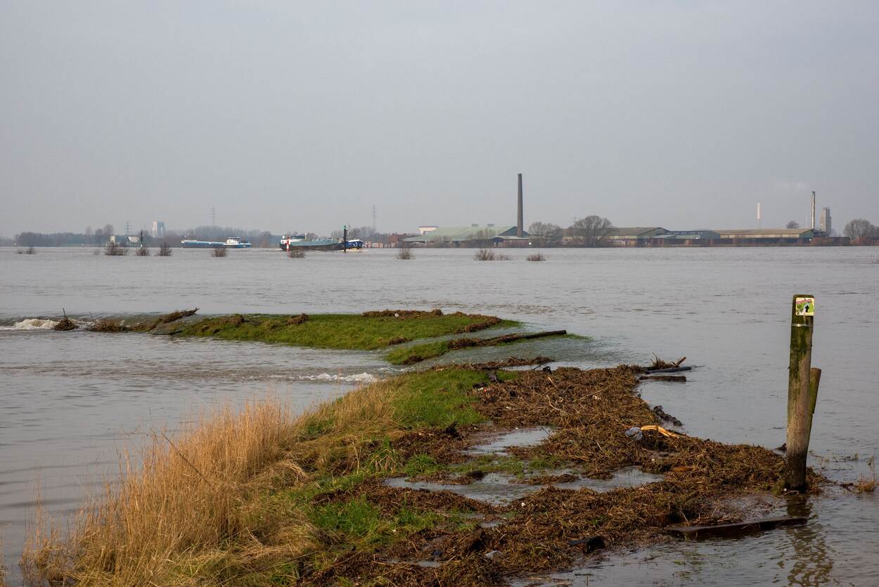 Hoogwater bij Wamel. Alleen de bovenkant van een dijklichaam steekt boven het wateroppervlak uit.