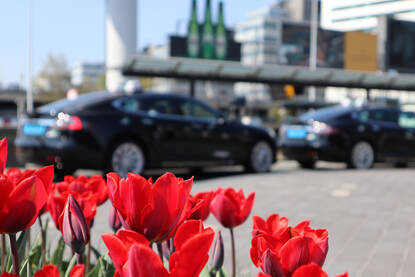 Een aantal taxi's staan op de taxistandplaats bij luchthaven Schiphol.